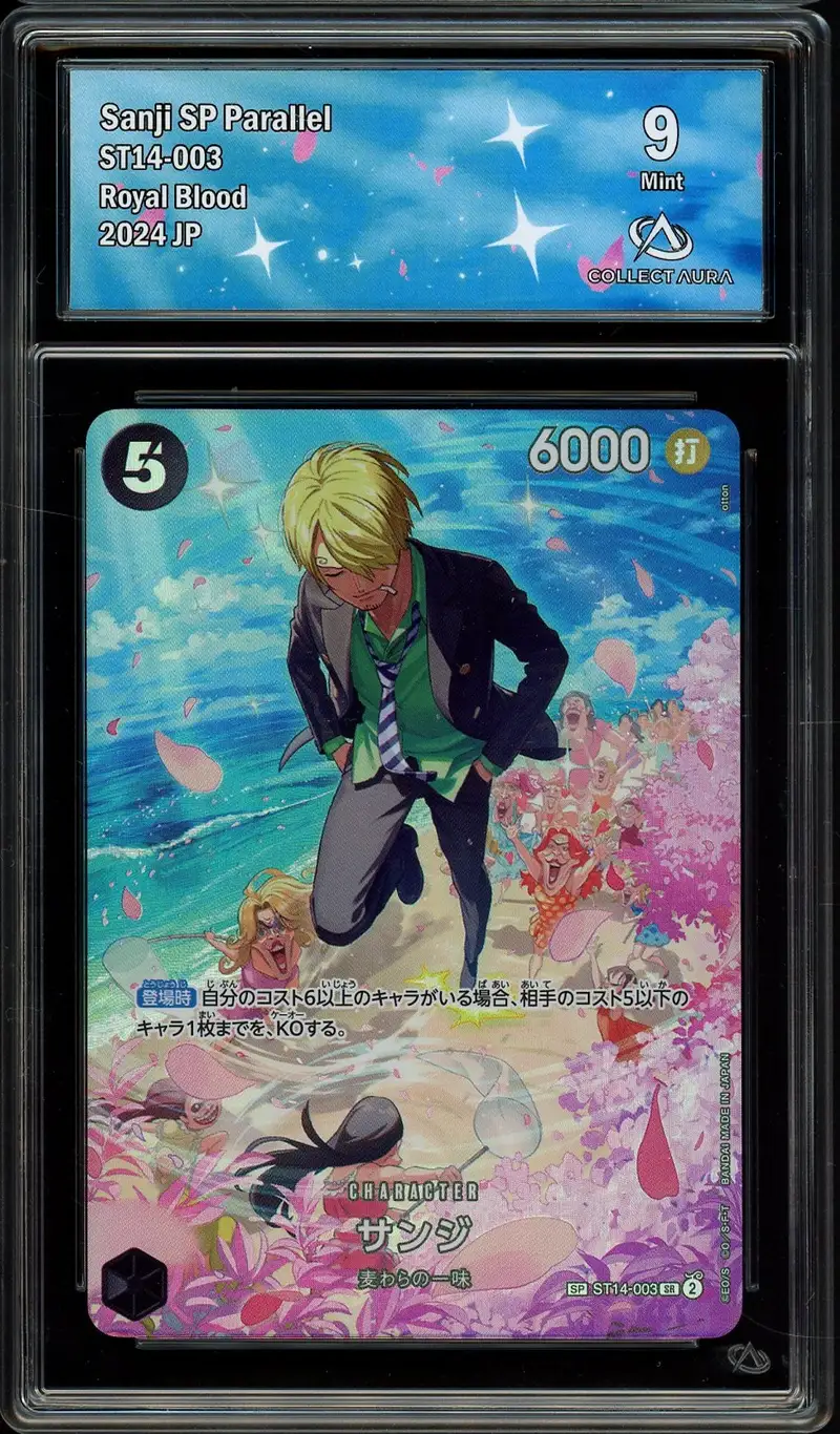 CA 9 Sanji