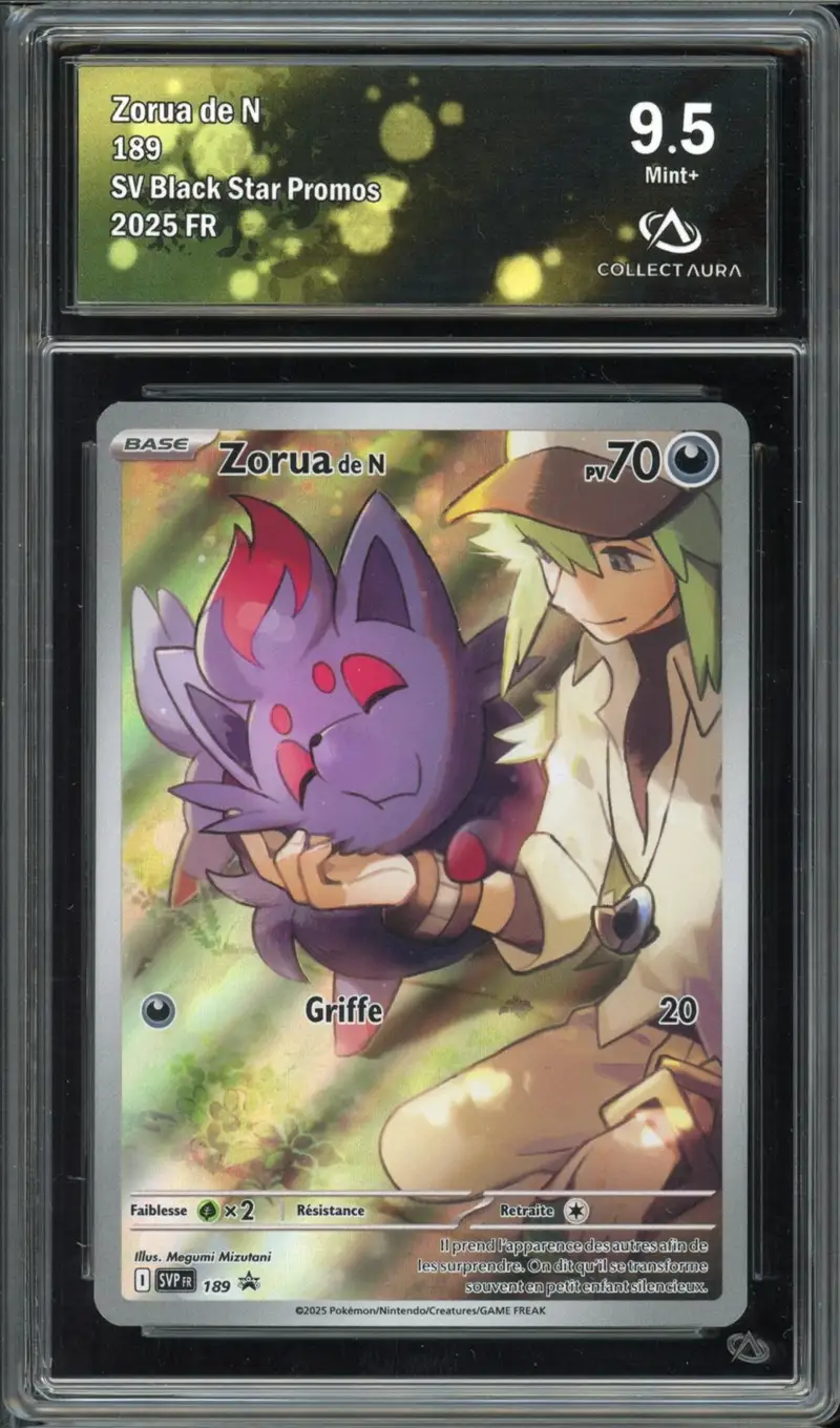 CA 9.5 Zorua de N