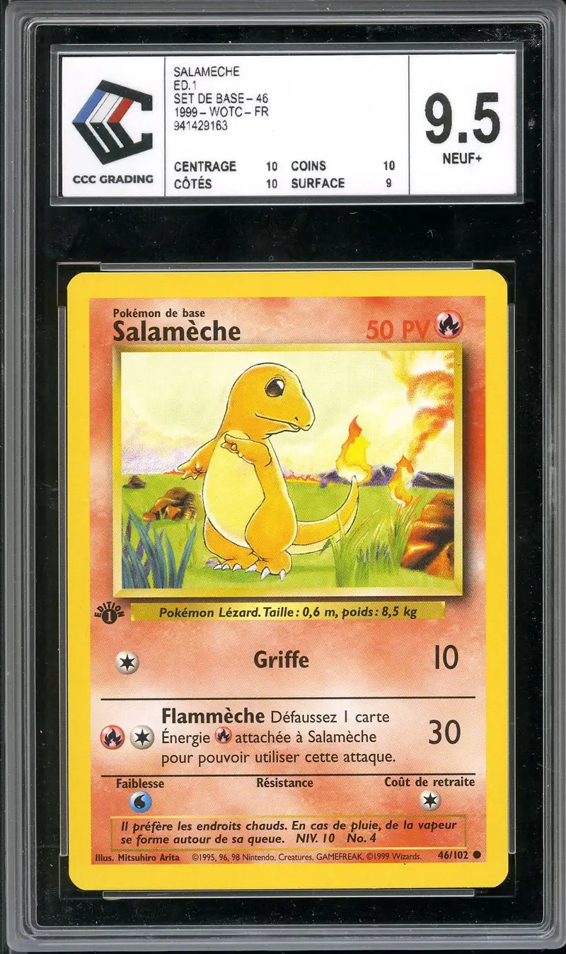 CCC 9.5 Salamèche