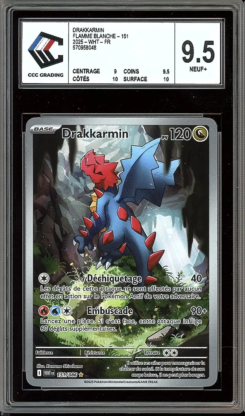 CCC 9.5 Drakkarmin