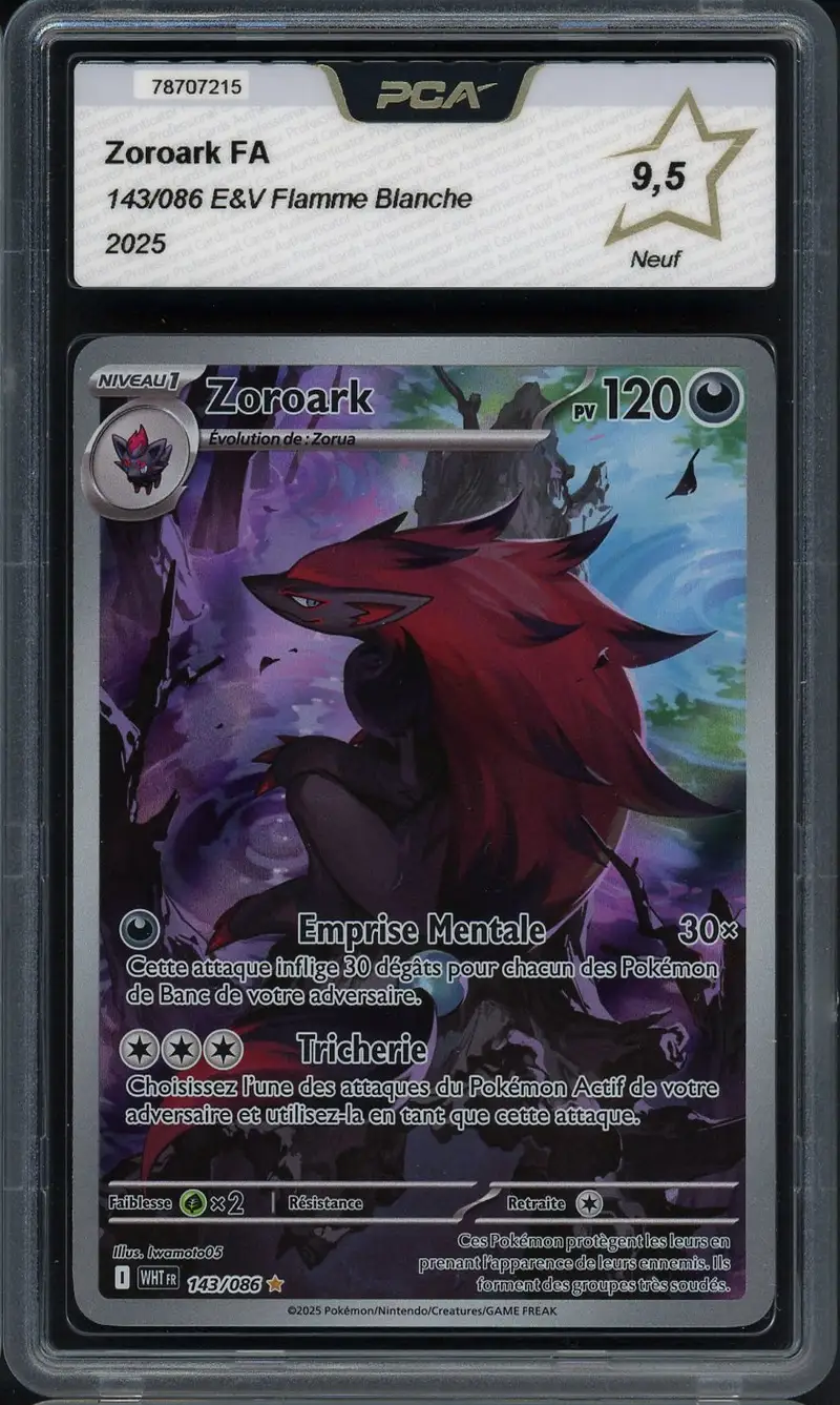 PCA 9.5 Zoroark