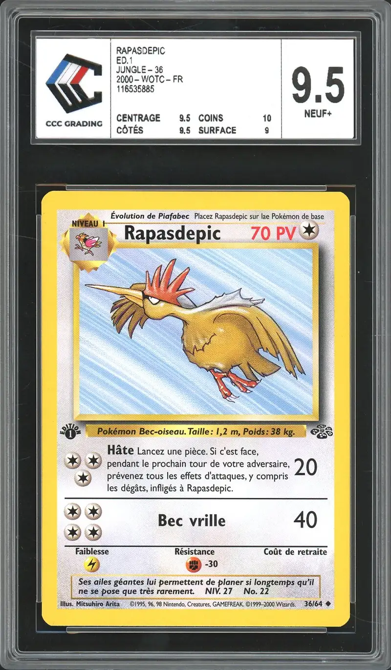CCC 9.5 Rapasdepic