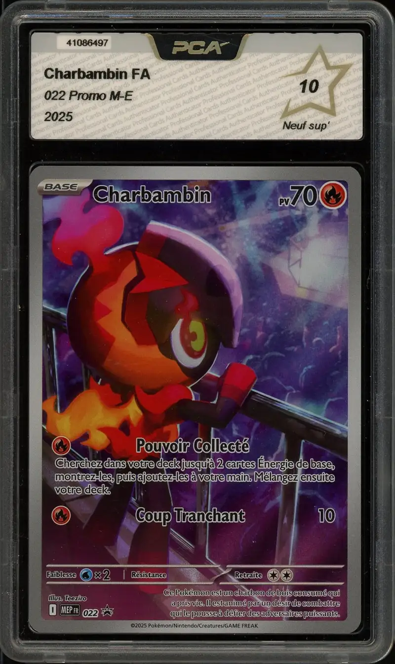 PCA 10 Charbambin