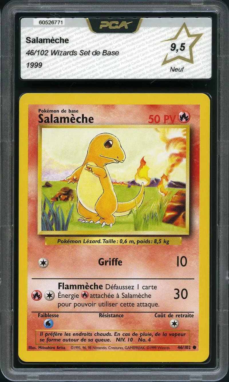 PCA 9.5 Salamèche
