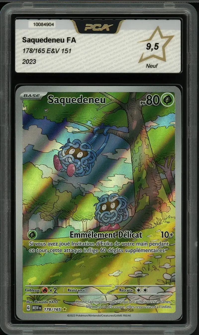 PCA 9.5 Saquedeneu