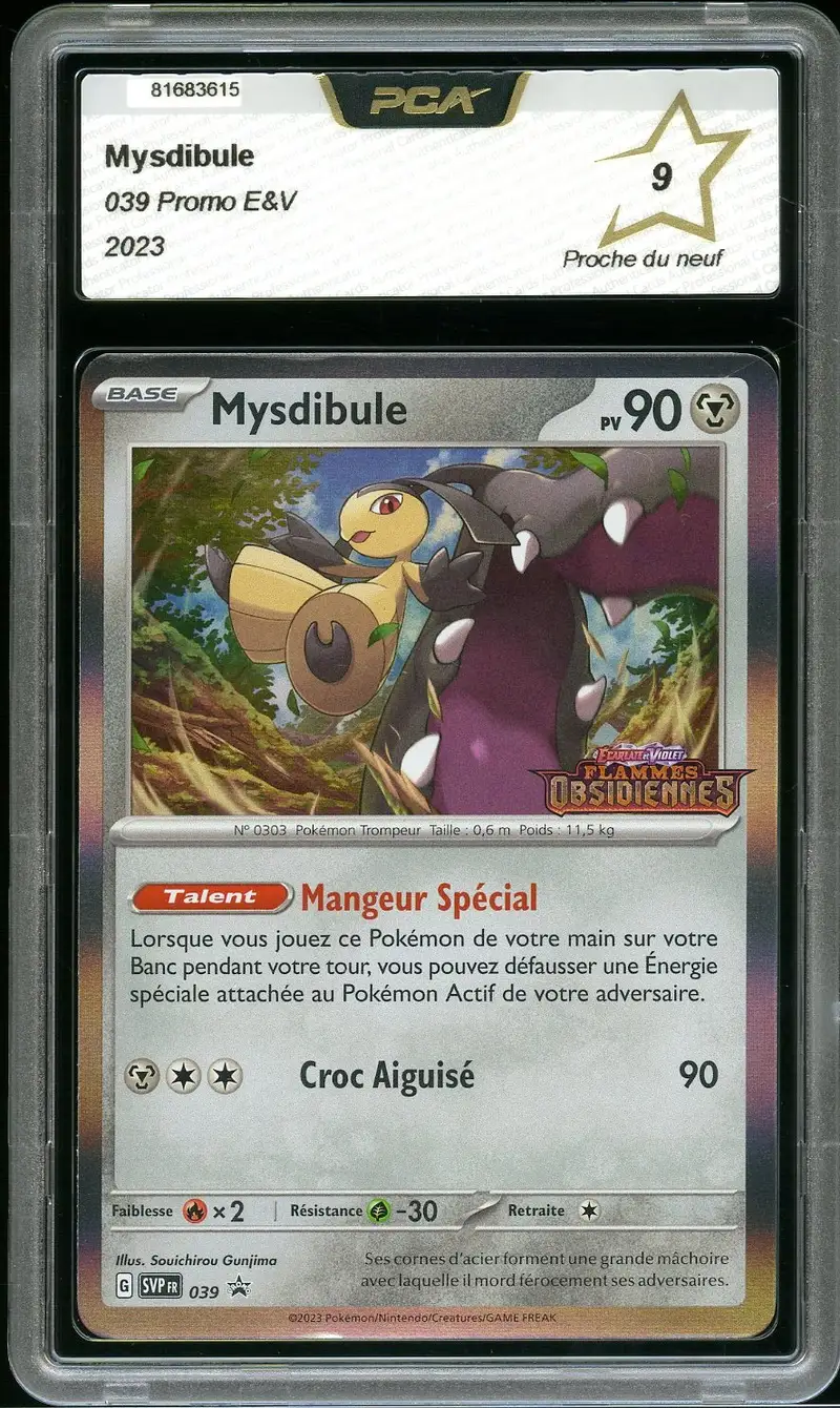 PCA 9 Mysdibule