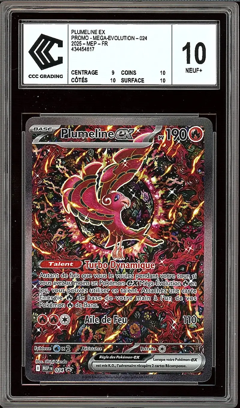CCC 10 Plumeline Ex