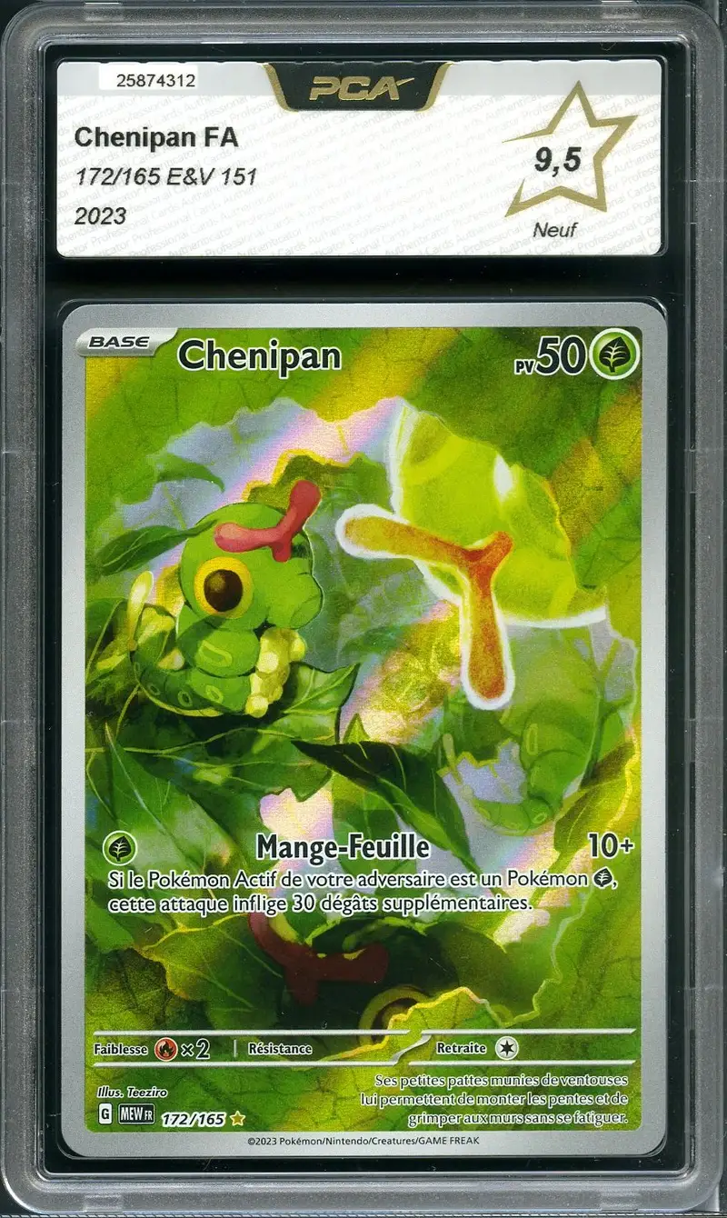 PCA 9.5 Chenipan