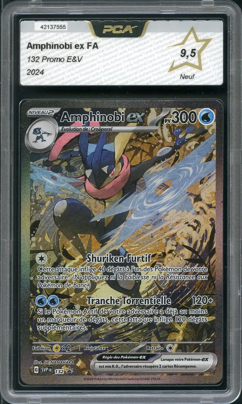 PCA 9.5 Amphinobi Ex