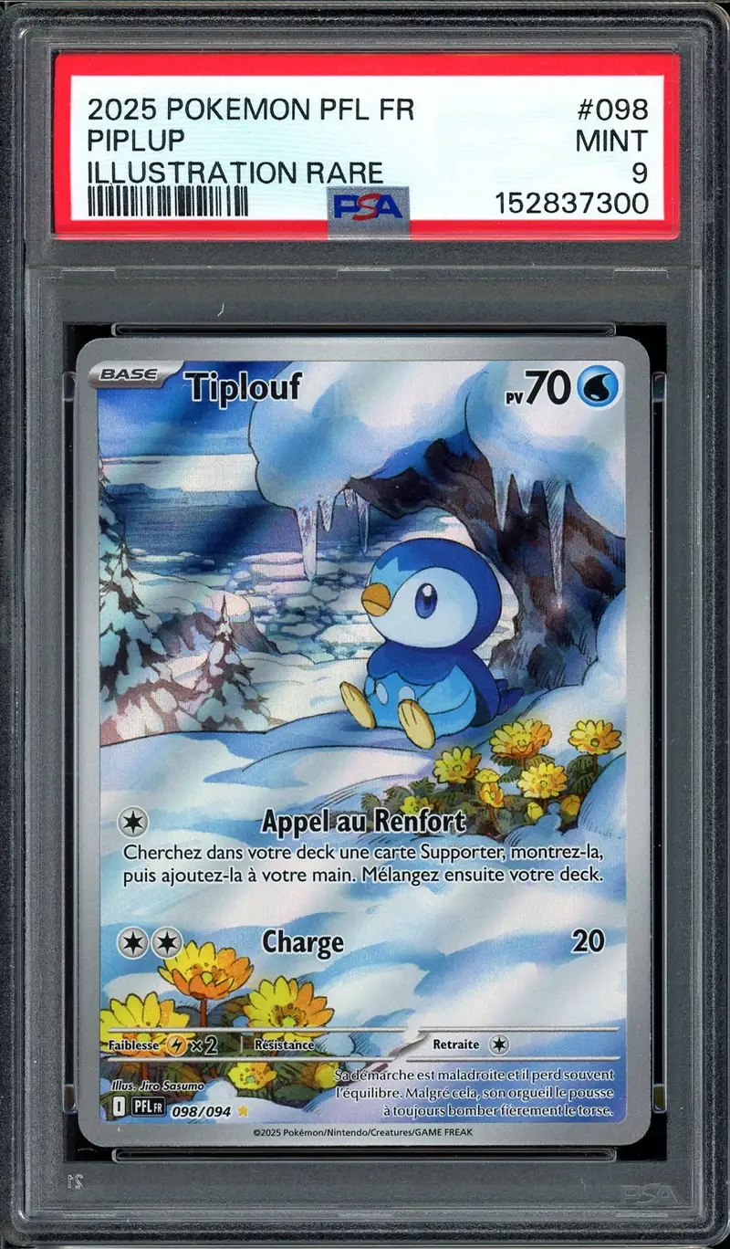 PSA 9 Tiplouf