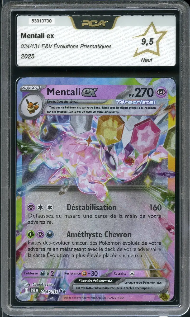 PCA 9.5 Mentali Ex