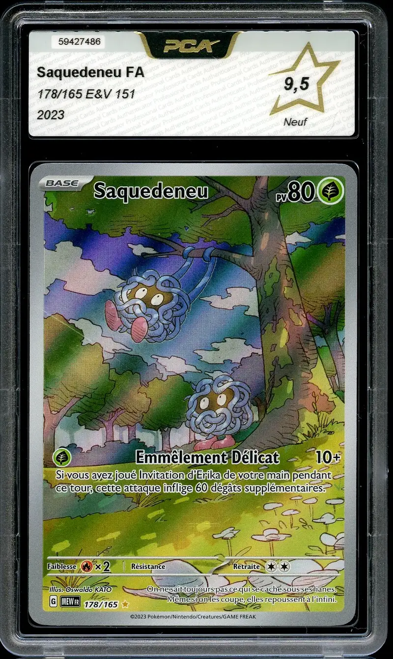 PCA 9.5 Saquedeneu
