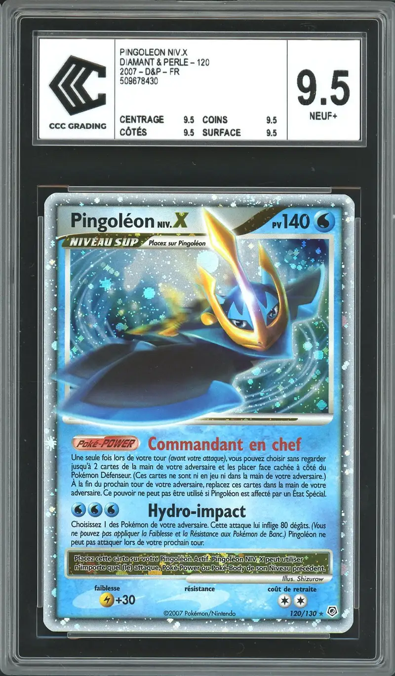 CCC 9.5 Pingoléon Niv. X