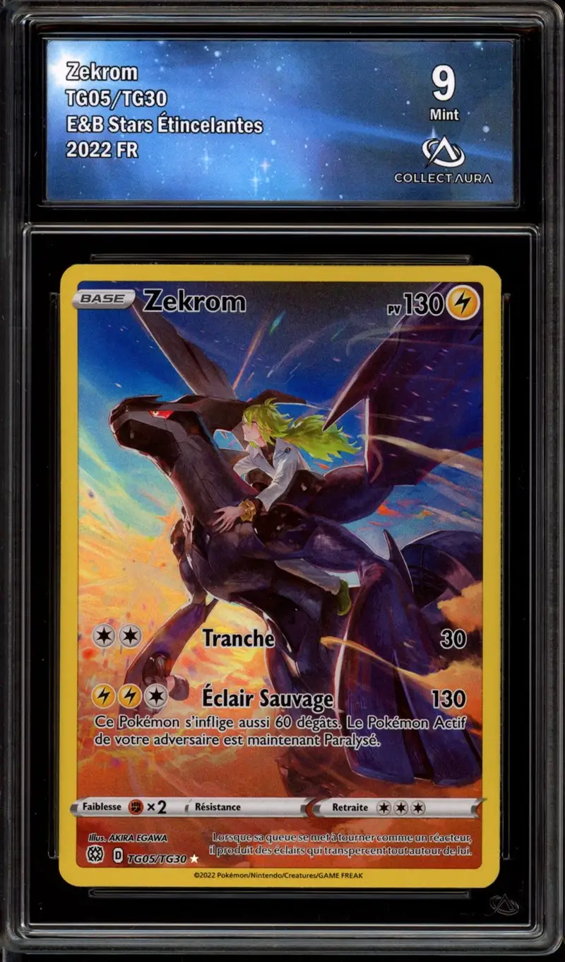 CA 9 Zekrom