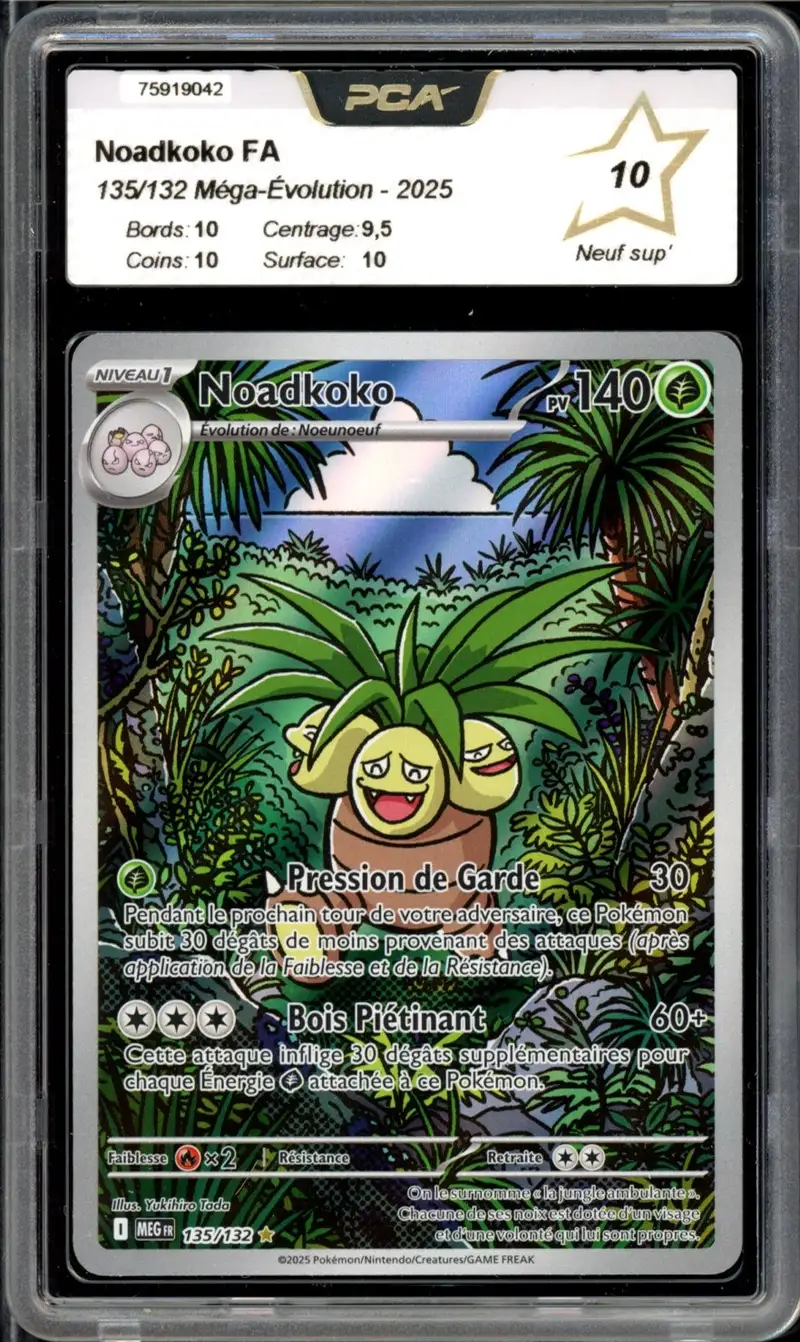PCA 10 Noadkoko
