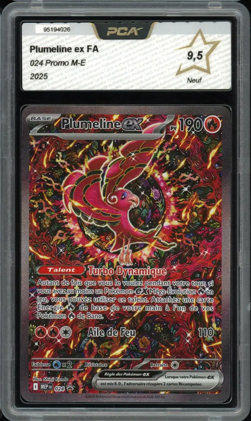 PCA 9.5 Plumeline Ex