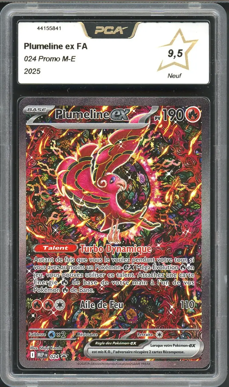 PCA 9.5 Plumeline Ex