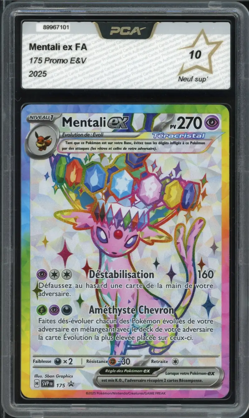 PCA 10 Mentali Ex