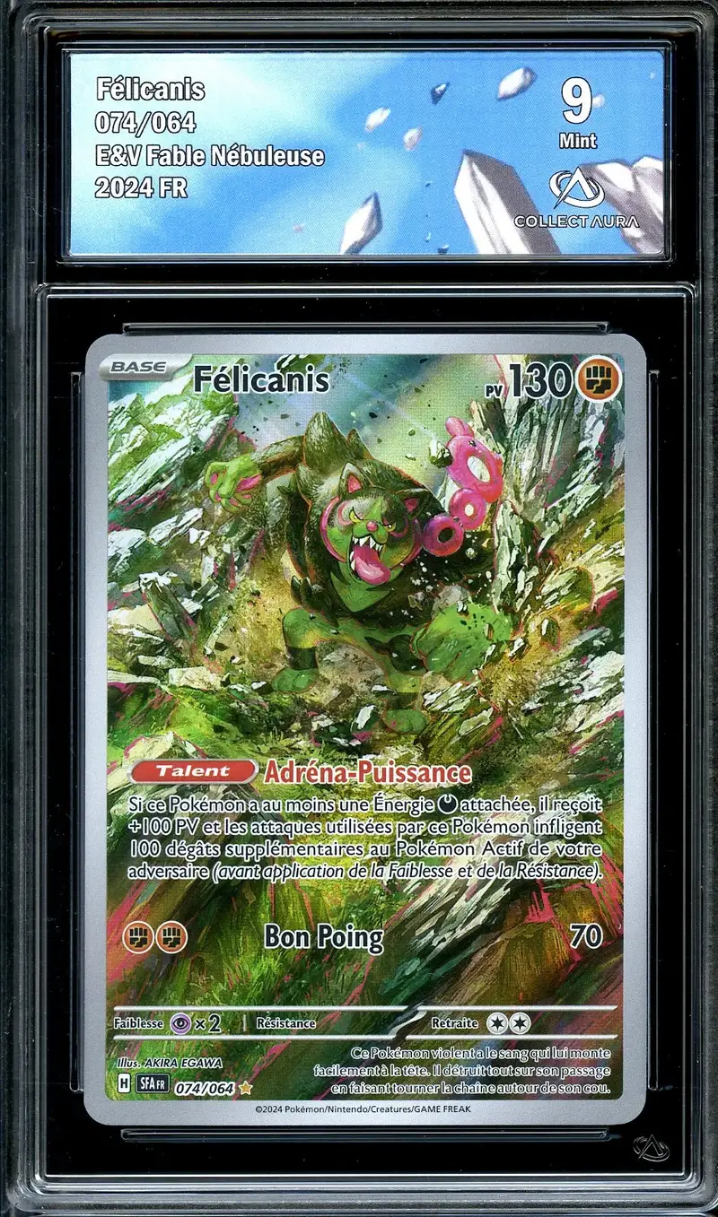 CA 9 Félicanis