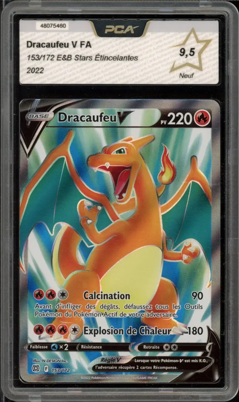 PCA 9.5 Dracaufeu V