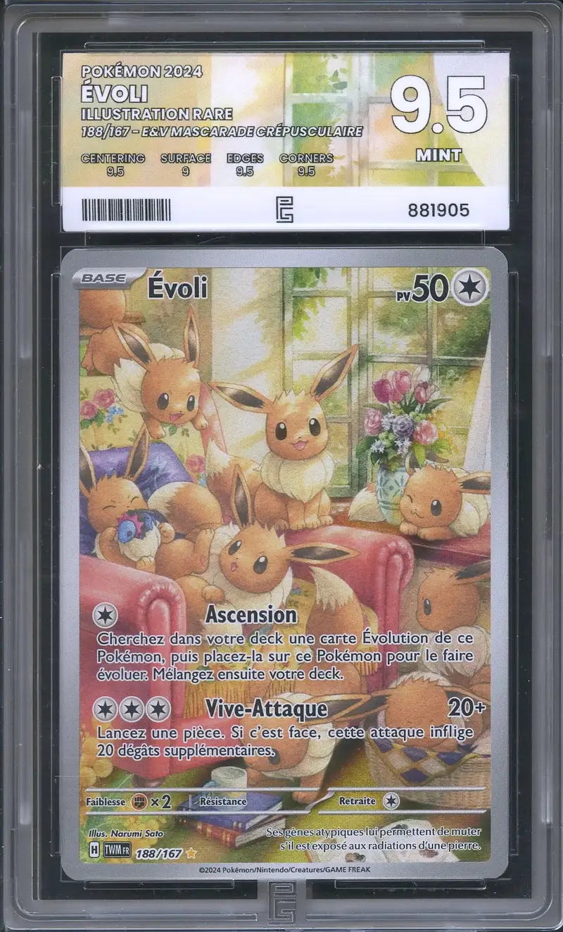 PG 9.5 Evoli