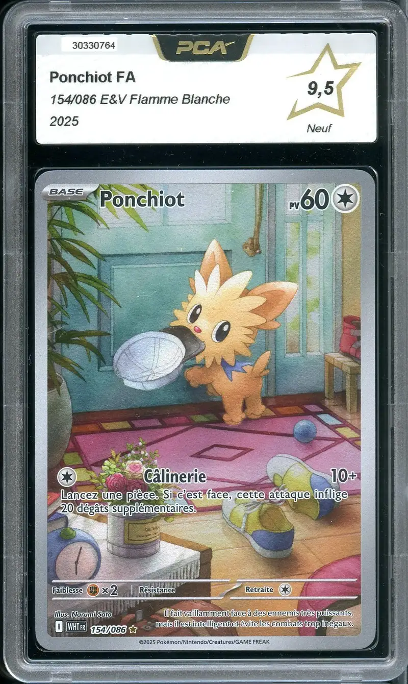 PCA 9.5 Ponchiot
