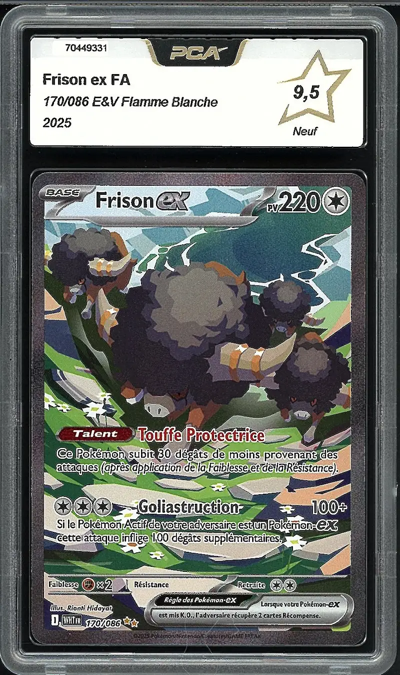 PCA 9.5 Frison Ex