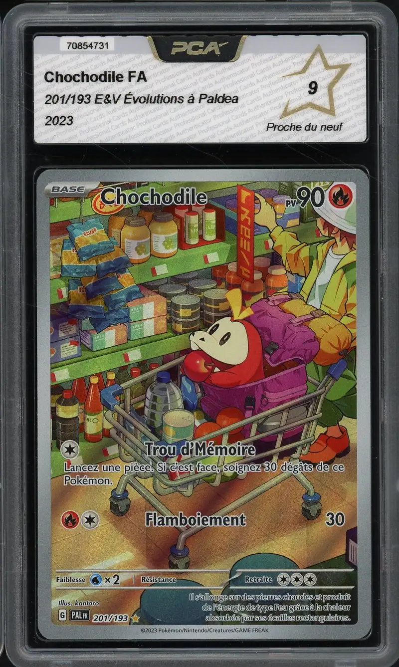 PCA 9 Chochodile