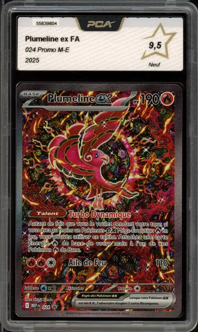 PCA 9.5 Plumeline Ex