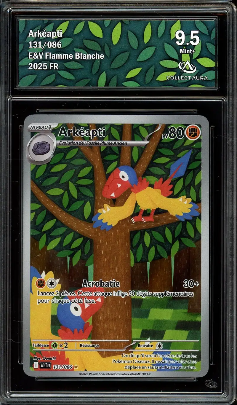 CA 9.5 Arkéapti