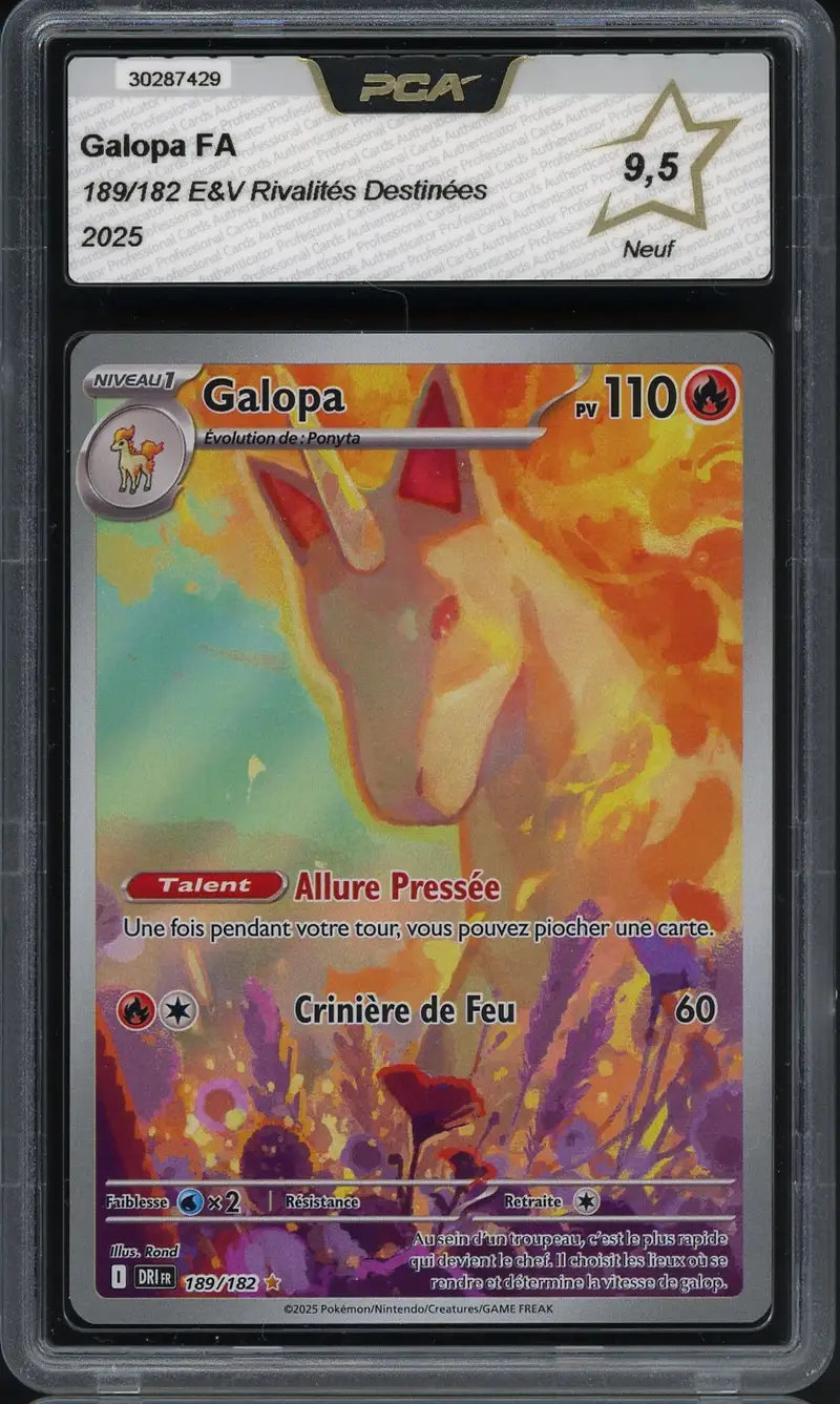 PCA 9.5 Galopa