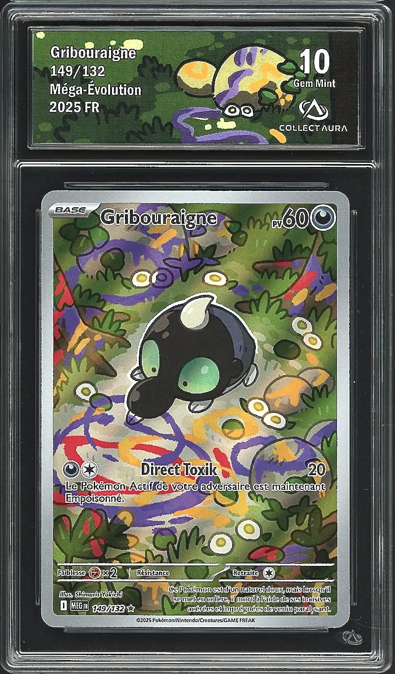 CA 10 Gribouraigne
