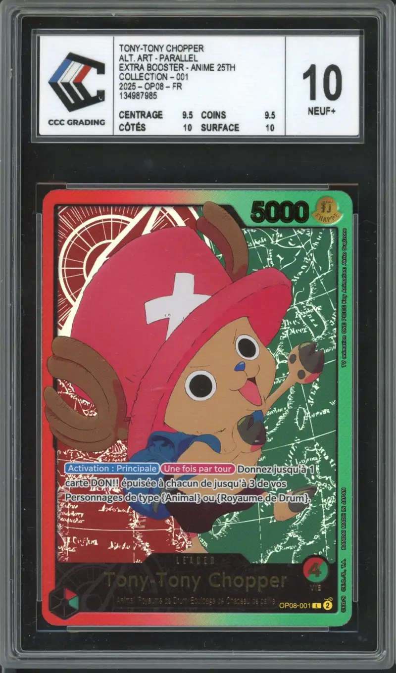 CCC 10 Tony-Tony Chopper