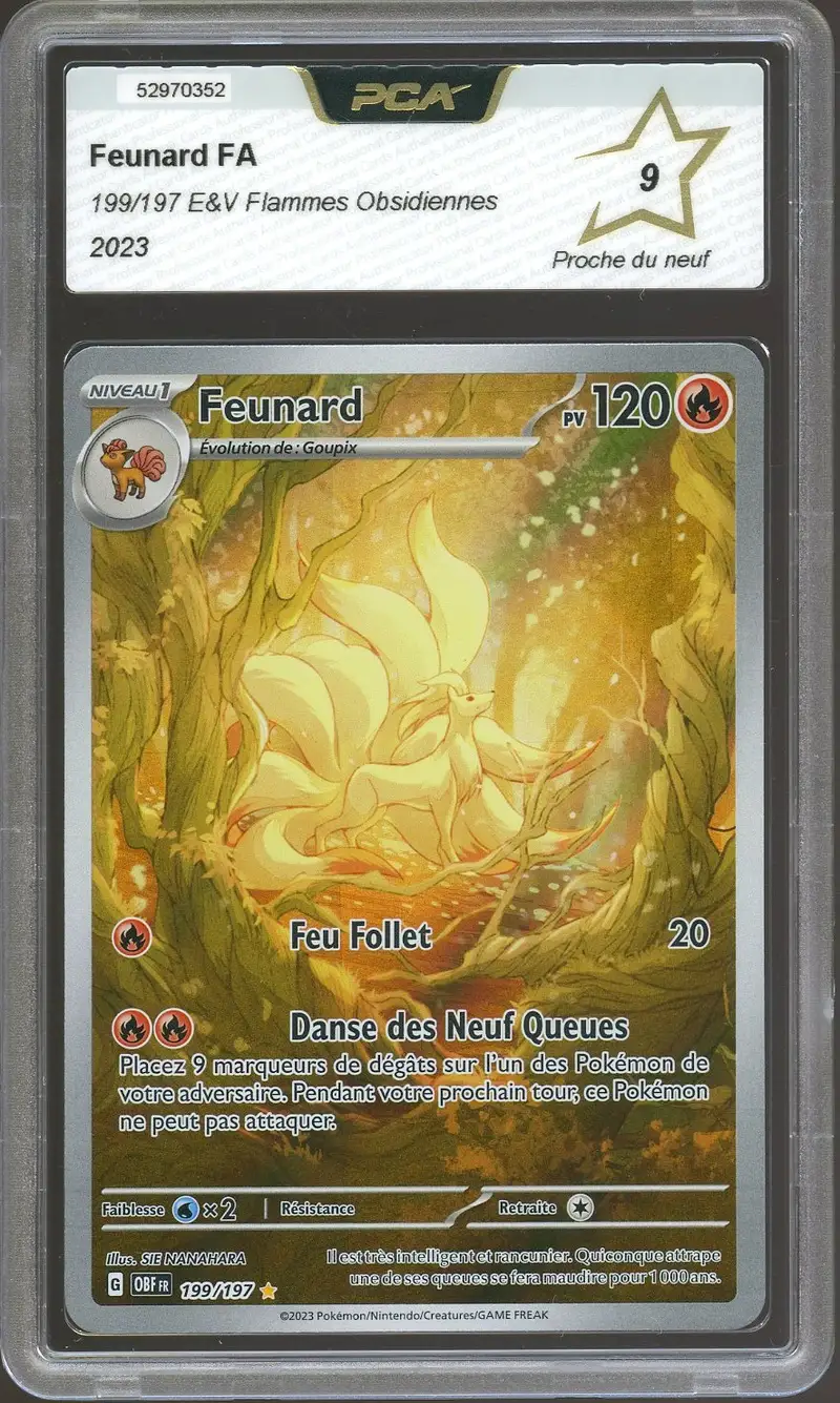 PCA 9 Feunard
