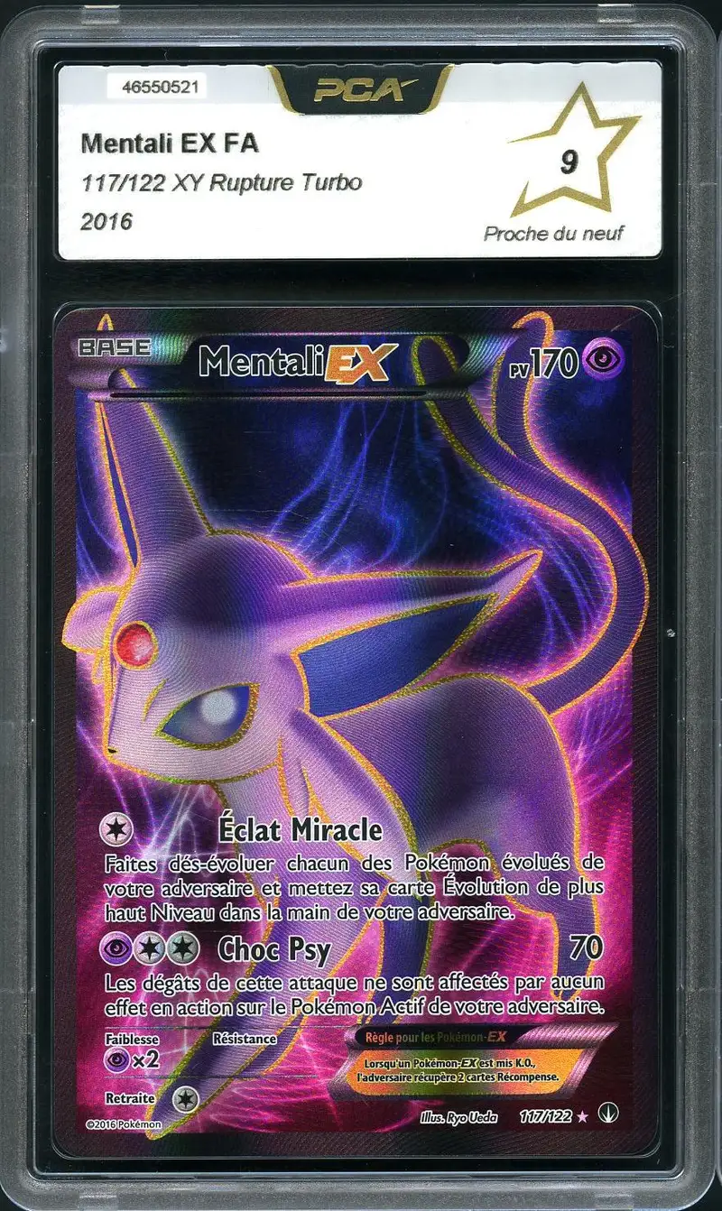PCA 9 Mentali Ex
