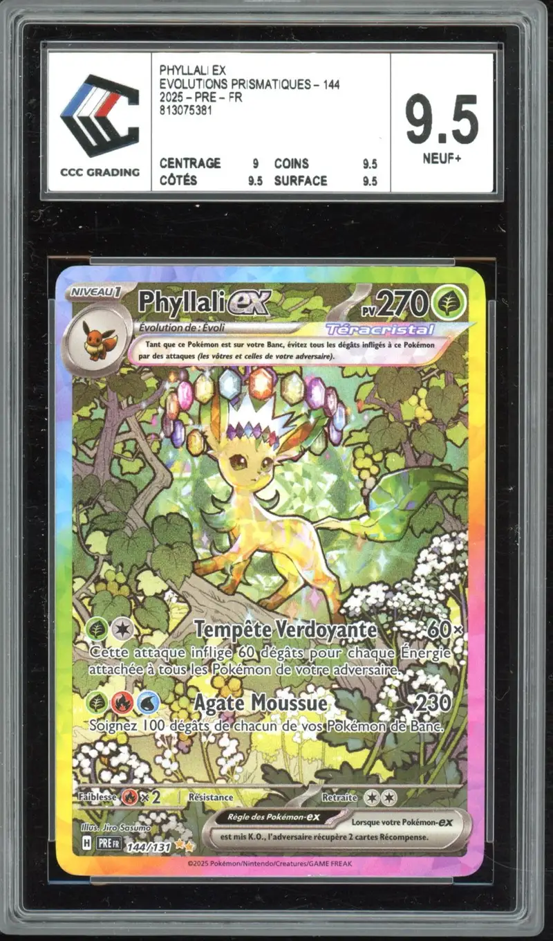 CCC 9.5 Phyllali Ex