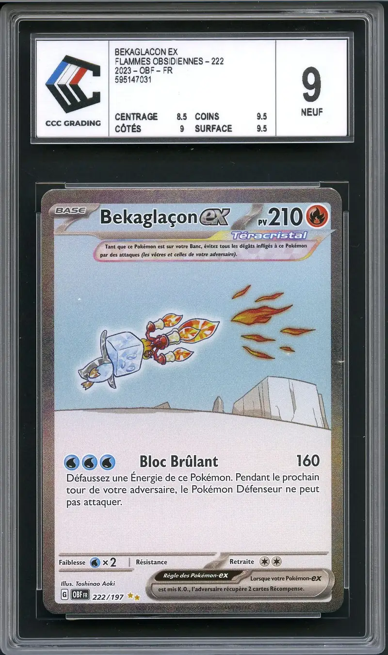 CCC 9 Bekaglaçon Ex