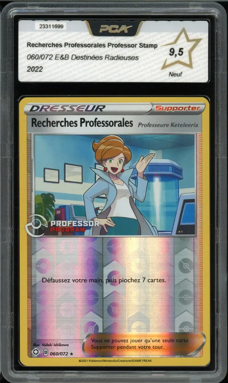 PCA 9.5 Recherches Professorales Professeure Keteleeria Reverse