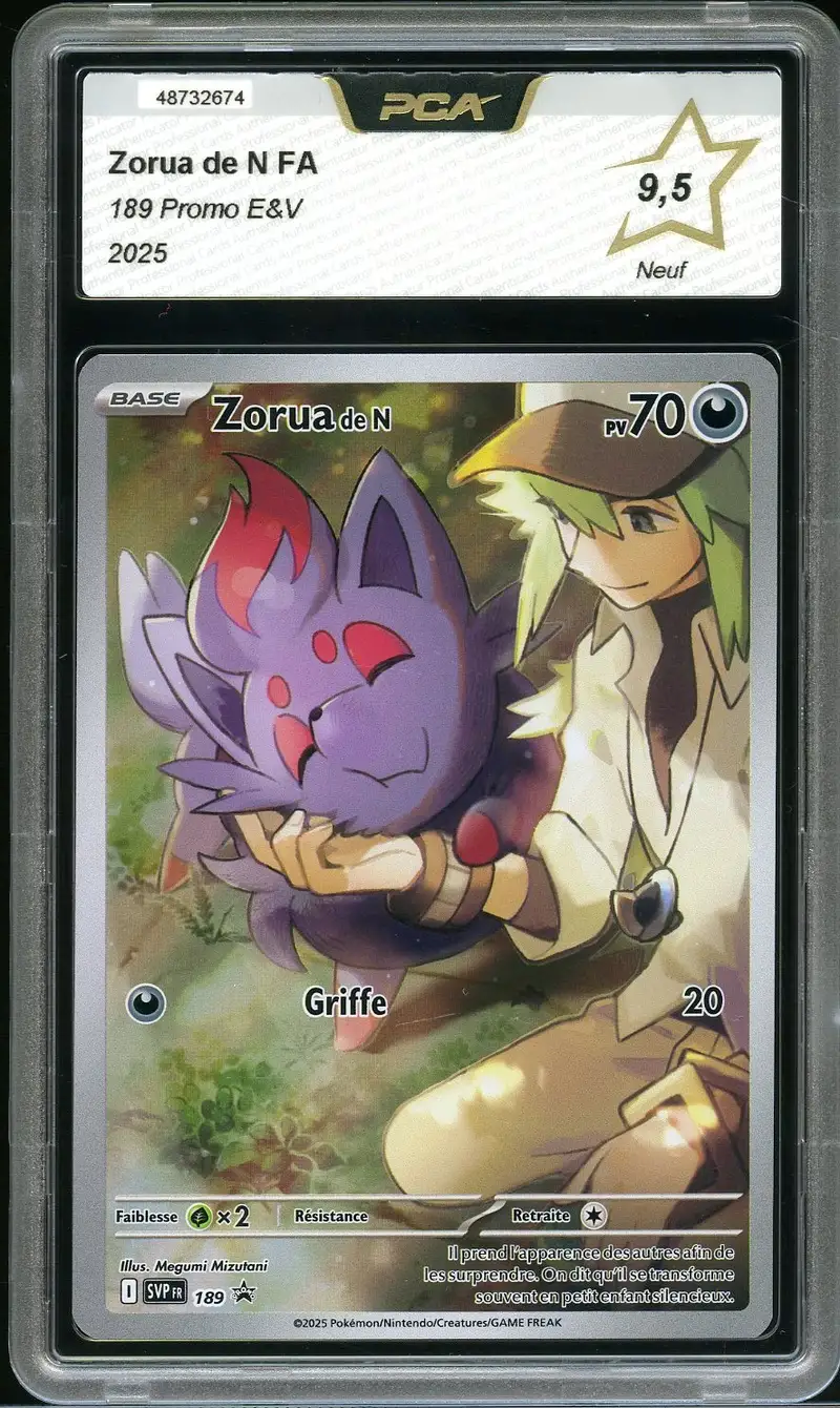 PCA 9.5 Zorua de N