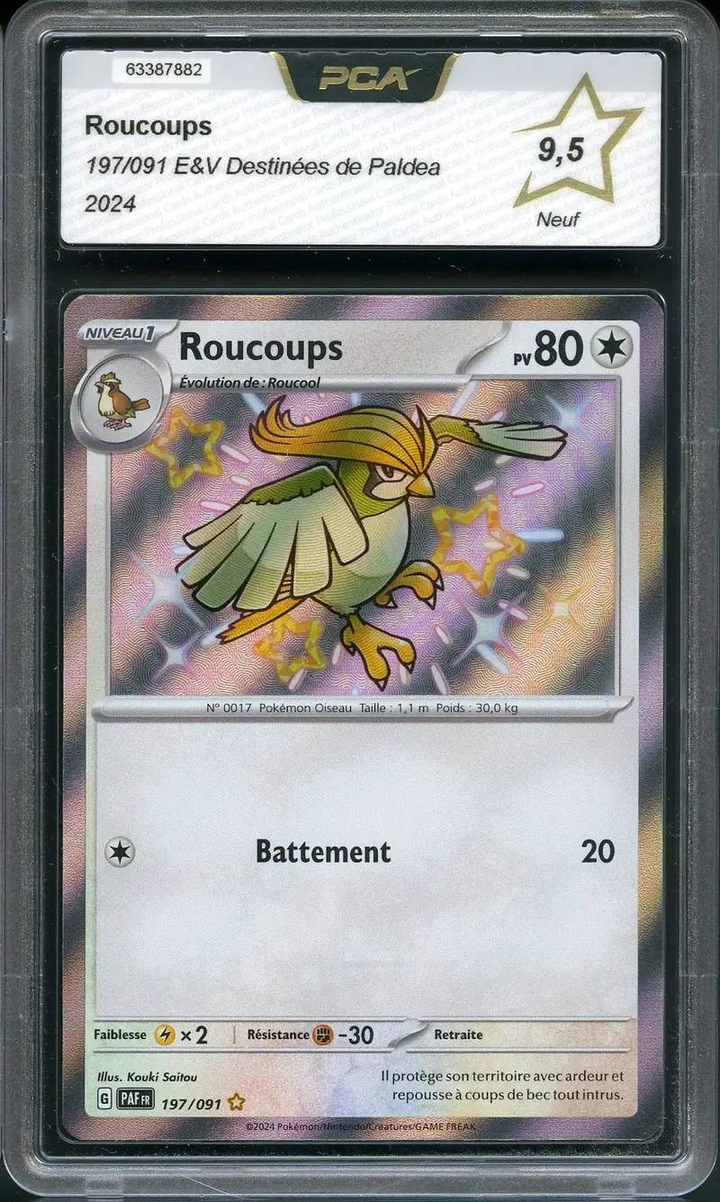 PCA 9.5 Roucoups Shiny