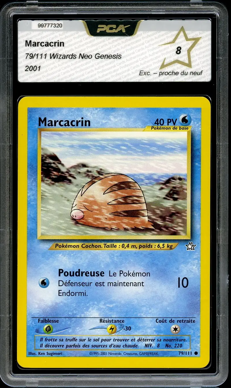 PCA 8 Marcacrin