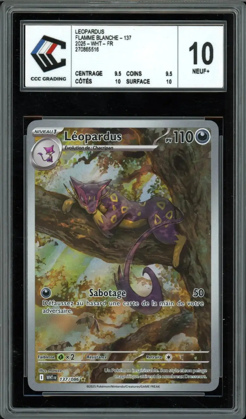 CCC 10 Léopardus