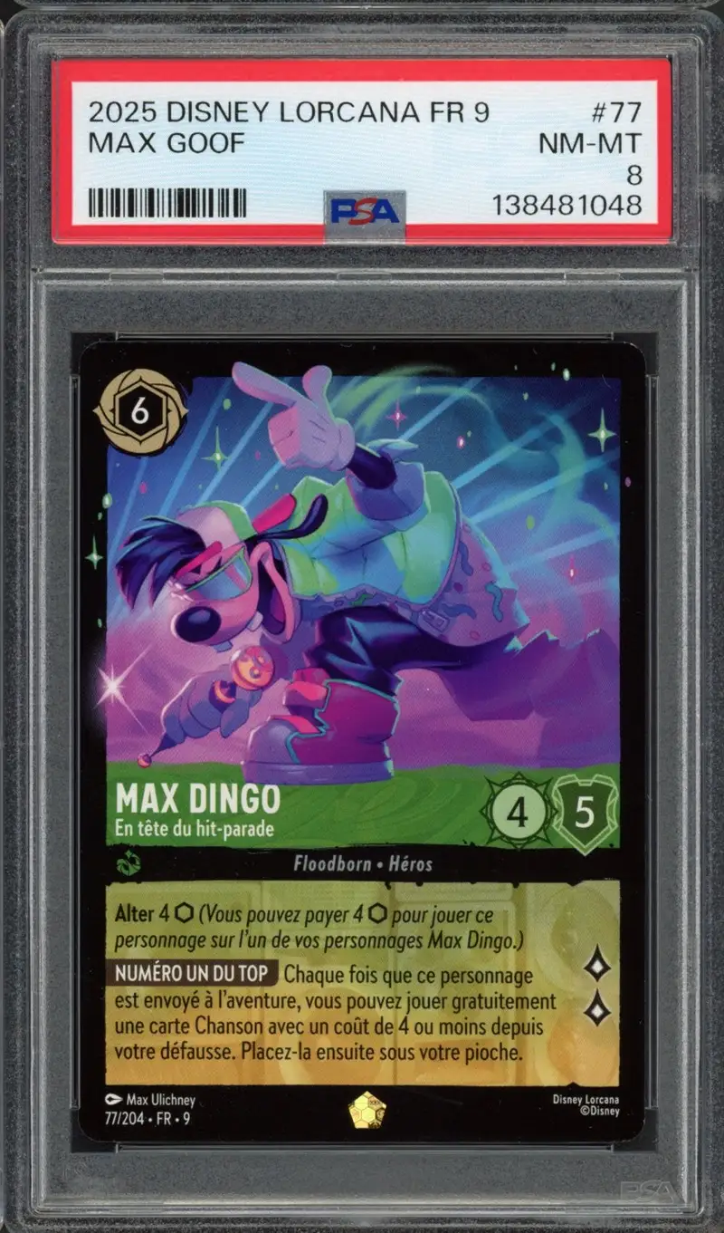 PSA 8 Max Dingo