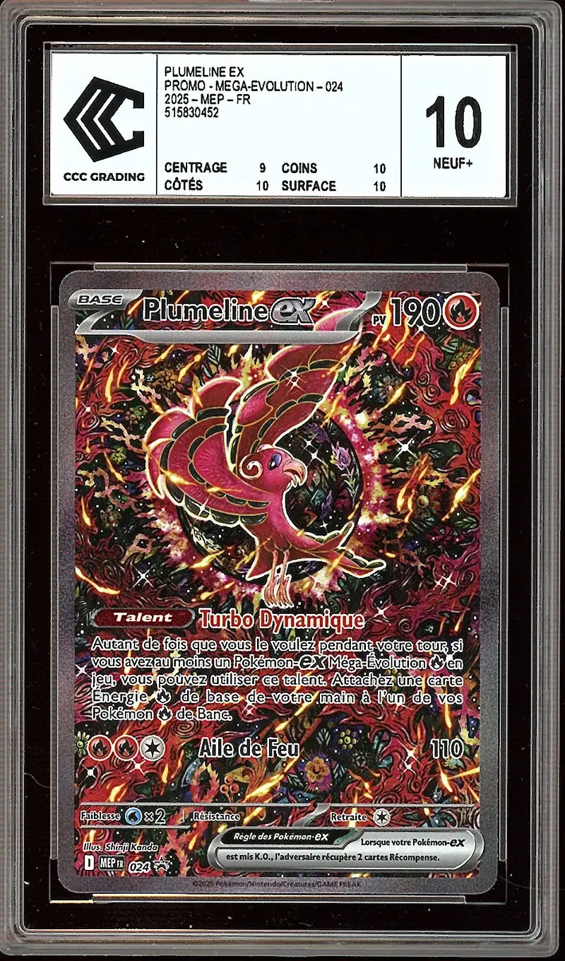 CCC 10 Plumeline Ex