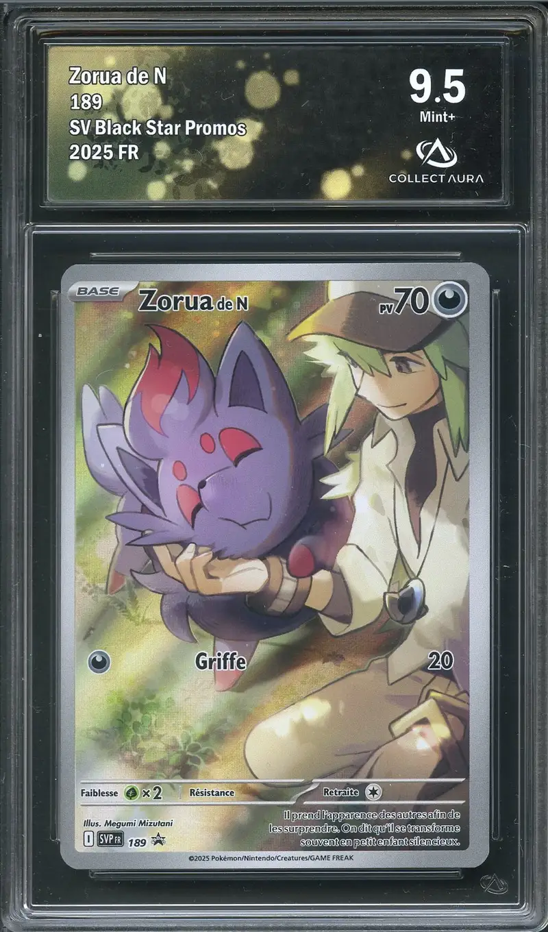 CA 9.5 Zorua de N
