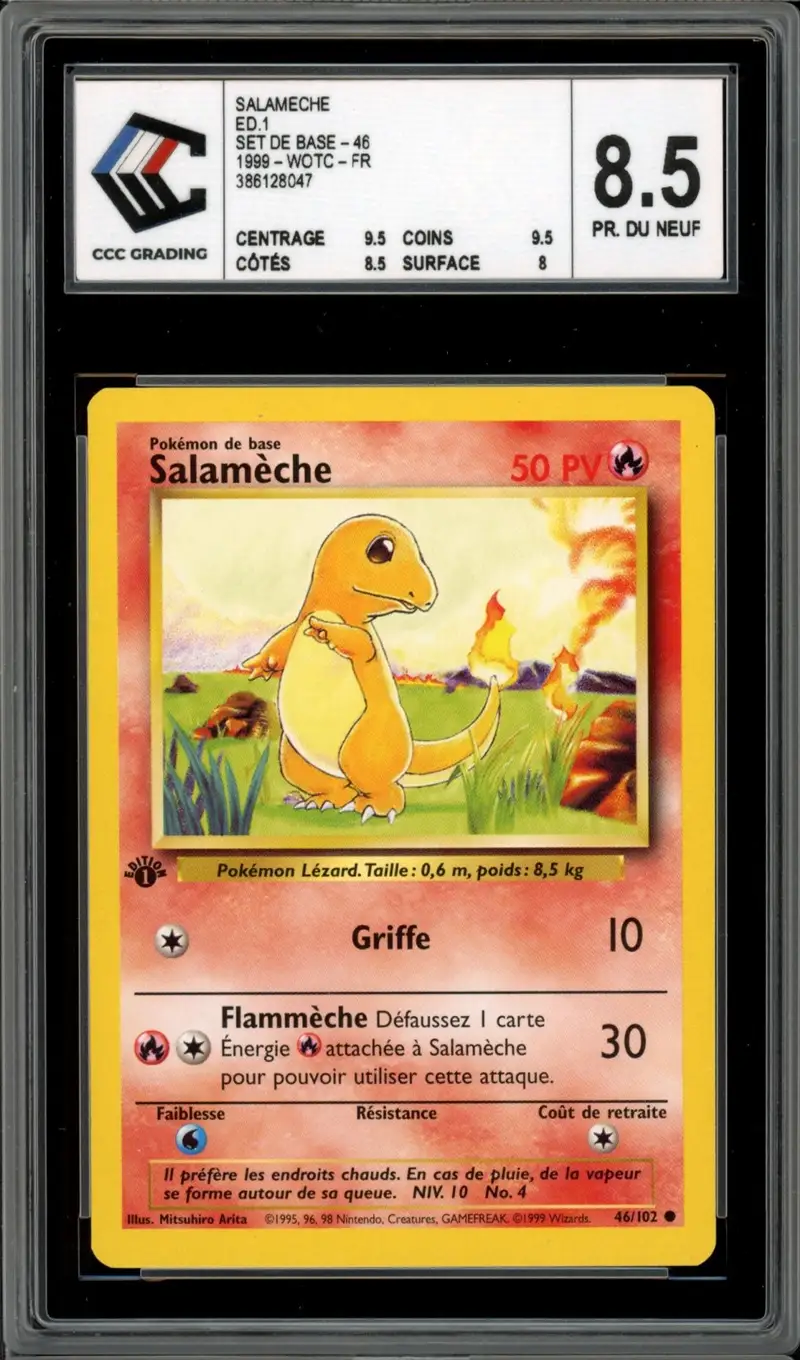 CCC 8.5 Salamèche
