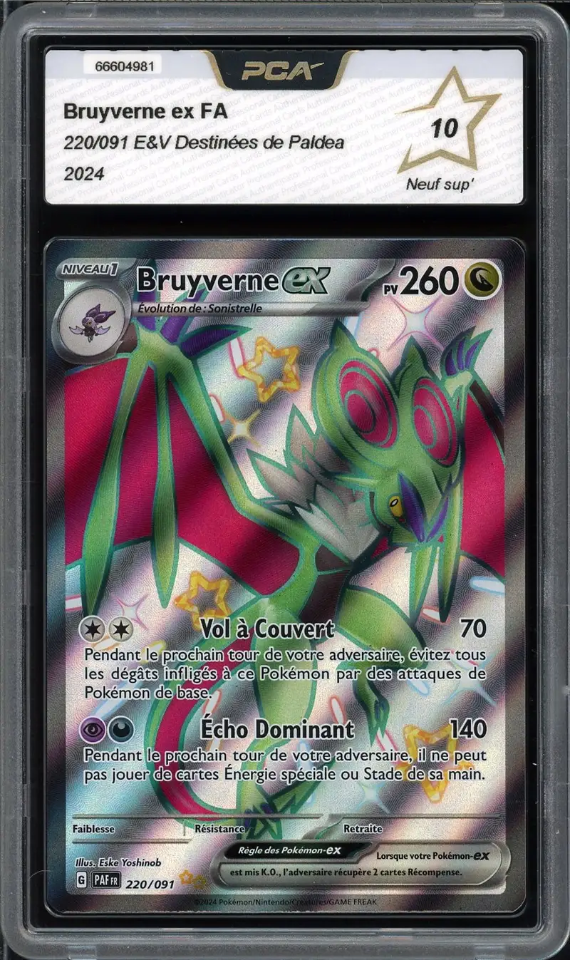 PCA 10 Bruyverne Ex