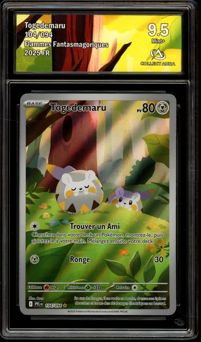 CA 9.5 Togedemaru