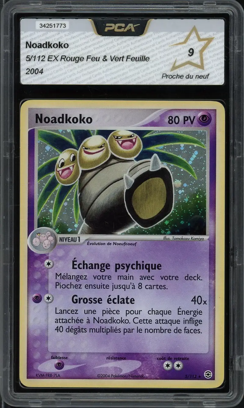 PCA 9 Noadkoko Holo