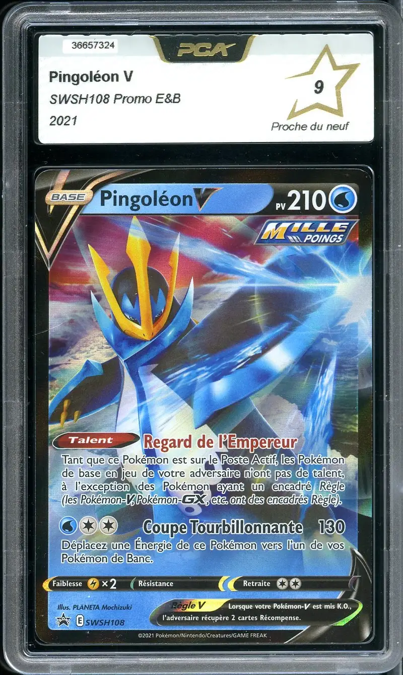 PCA 9 Pingoléon V